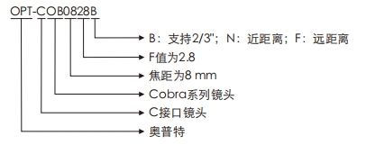 宝运莱_官方网站app下载