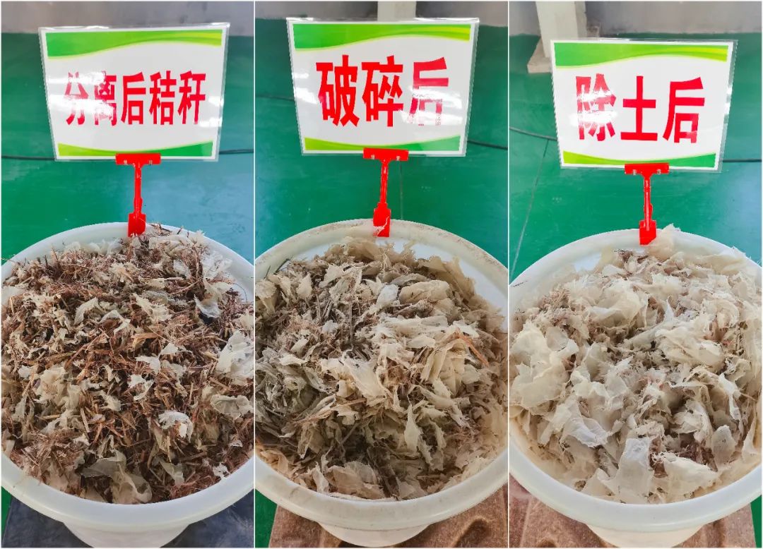 mg������Ե(�й�)�ٷ���վ